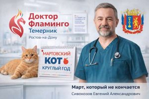 Март, который не кончается: как частная ветеринарная клиника в Ростове-на-Дону превратила акцию в миссию