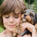 791 маленькая порода собак для детей