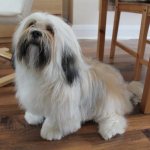 Болезни и продолжительность жизни