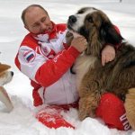 болгарская овчарка баффи