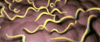 Borreliosis