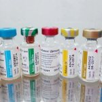 чем вакцинировать йорка