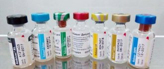 чем вакцинировать йорка