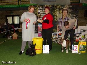 Чемпионат Армении и Германии на международной выставке «Планета собак» (CACIB, Пушистая Пасха в Сконто)