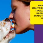 Давать ли собакам сыр: за и против