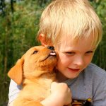 До 5 лет ребенок может не воспринимать собаку как живое существо