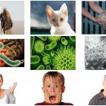 энтерит не передается от животных к людям