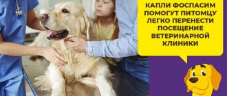 Fospasim - a sedative homeopathic remedy for dogs