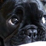 фото 09356076705467054