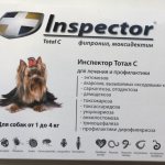 Inspector