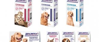 Инструкция к суспензии и таблеткам Паразител для собак