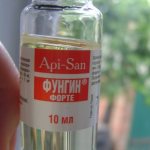 Использование препарата Фунгин Форте для лечения заболеваний кожи у кошек