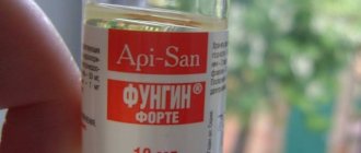 Использование препарата Фунгин Форте для лечения заболеваний кожи у кошек