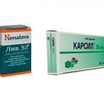 Как давать Карсил собаке