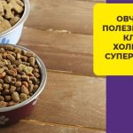 How and what to feed an East European Shepherd puppy