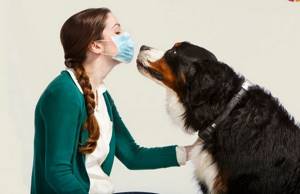 как избавиться от запаха у щенка