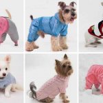 как сшить одежду для собак