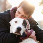 Как успокоить собаку