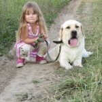 Как воспитывать алабая