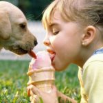 какие заразные болезни бывают у собак