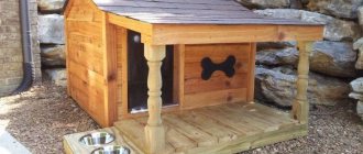 What should a dog house be like?