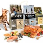 Корм пронатюр холистик