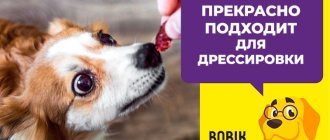 Лакомства для дрессировки собак и щенков: как выбрать или приготовить самостоятельно