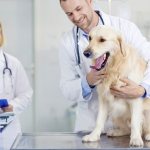 лечение в клинике