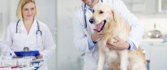 лечение в клинике