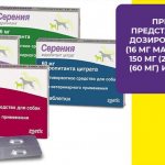 Лекарство Серения спасет собаку от укачивания и рвоты