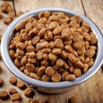 можно ли размачивать сухой корм для собак