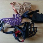 намордник для собак