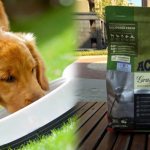 Норма корма для собак - сколько корма нужно собаке в день, таблицы