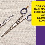 Обязательный груминг шпица дома и в салоне