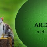 Описание бренда