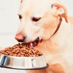 Производитель делает акцент на качестве и безопасности своей продукции