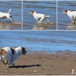 Рычаг управления