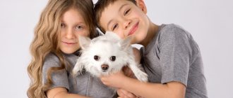 С какого возраста можно приобретать собаку для детей