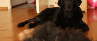 With wool1