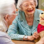 собака для пожилого