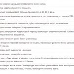 Таблица беременности йорка