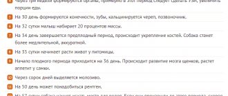 Таблица беременности йорка