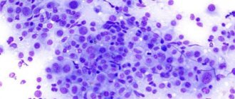 venereal sarcoma in dogs