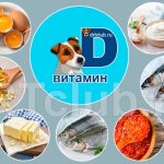 Витамин D для собак