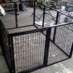 Aviary for Alabai and colleagues - equally impressive security guards of the site