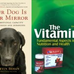 Заболевания и рекомендации для той терьера